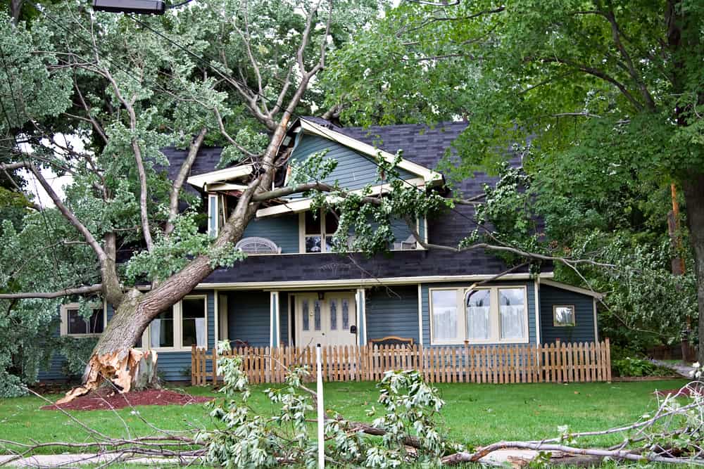 24-Hour Storm Damage Services Portland Oregon hero image