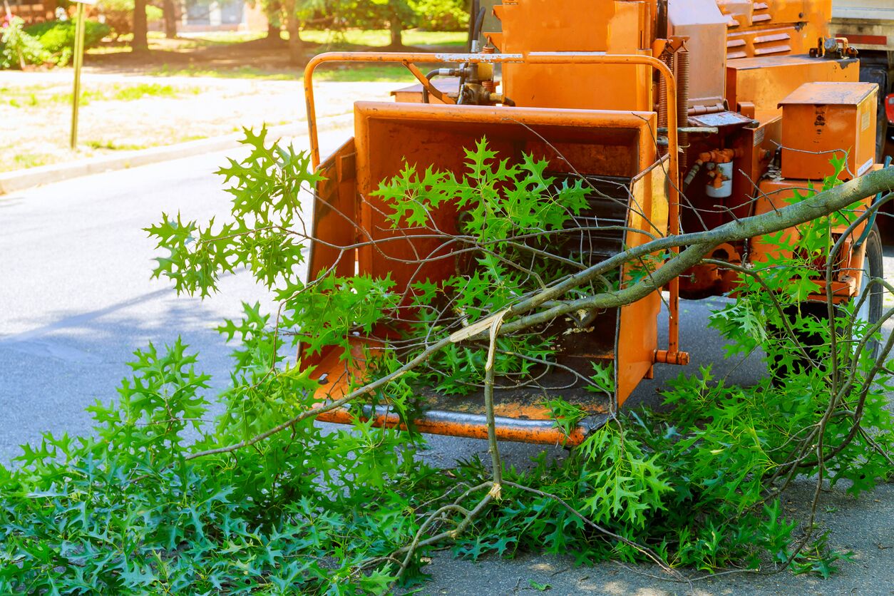 Brush Chipping Services Portland Oregon hero image