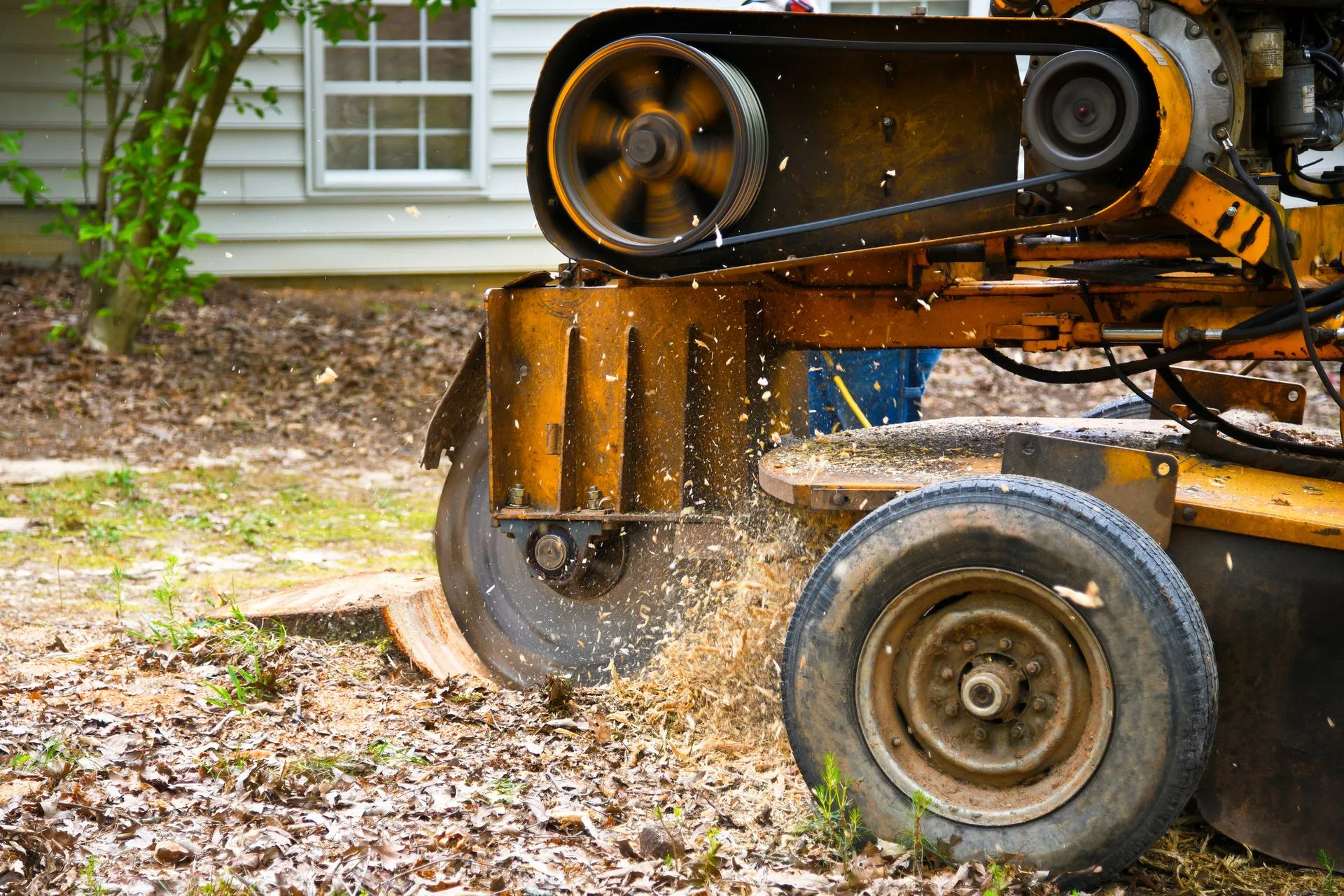 How Stump Grinding Can Enhance Your Landscape hero image