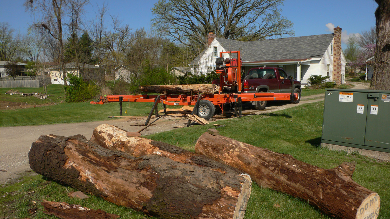 Tree Salvaging Services Portland Oregon hero image