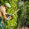 The Benefits of Regular Tree Pruning and Maintenance post image