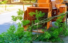 Brush Chipping Services Portland Oregon service image