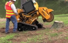 Stump Grinding Services Portland Oregon service image