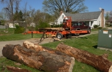 Tree Salvaging Services Portland Oregon service image